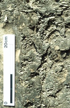 Soiling by particles from the atmosphere to dark-colored crust changing the surface (pI-diC)