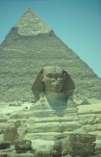 Image: Sphinx and Cheops pyramid - Egypt
